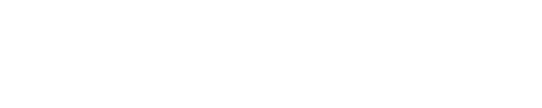 NSO Logo